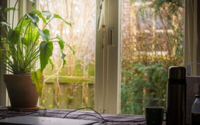 How to secure your garden office