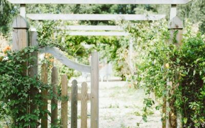 How to secure your garden this summer
